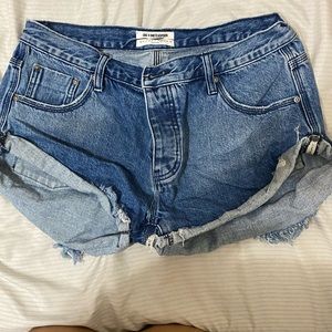 One teaspoon shorts 29